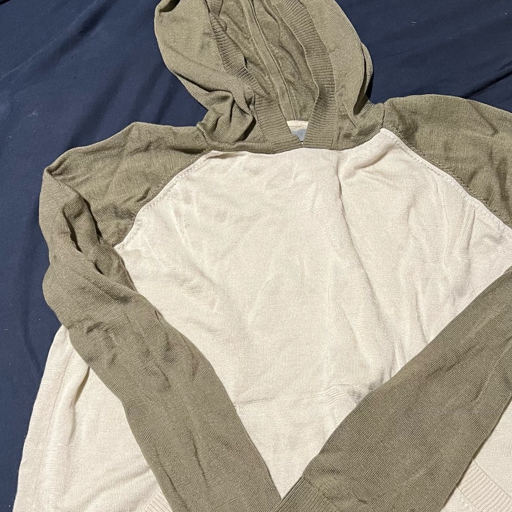 Womens Icebreaker hoodie
